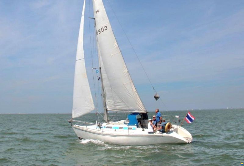 Elan 33