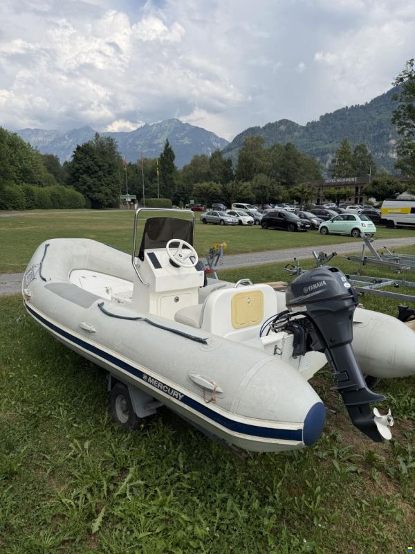 Mercury Ocean Runner 460