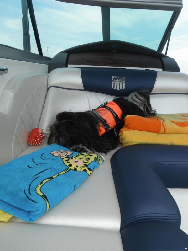 MasterCraft 215V