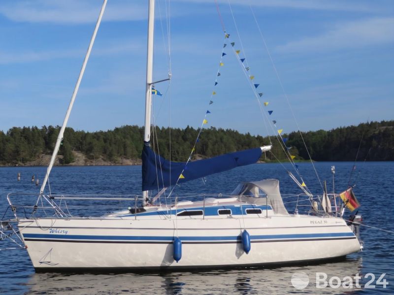 Skipper PEGAZ 30 (31)