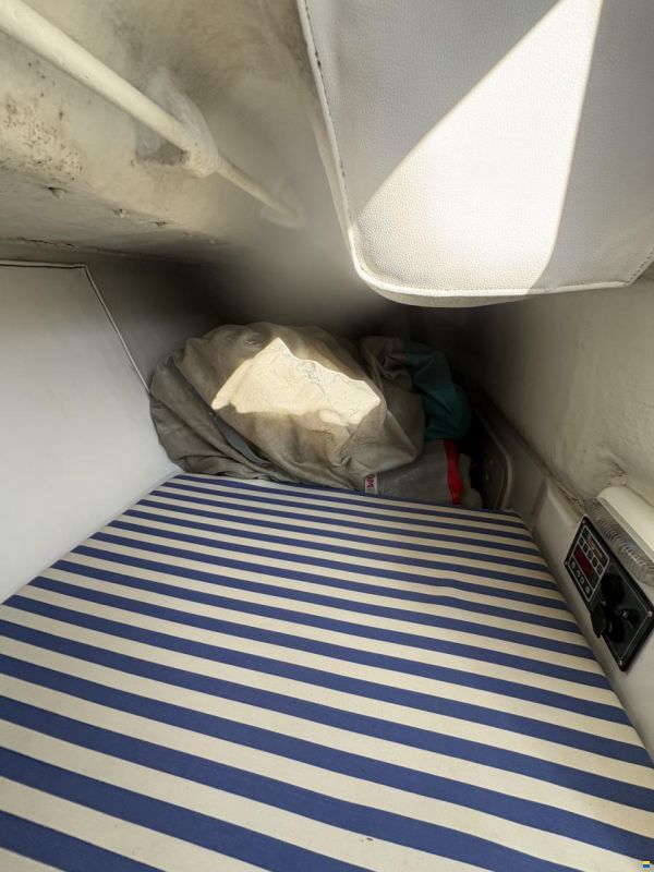 Archambault GRAND SURPRISE