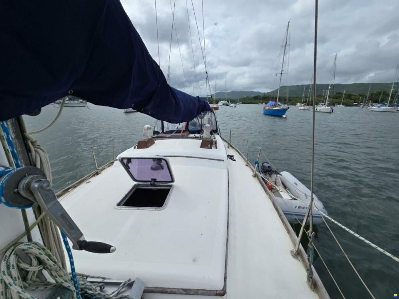 Reliance 44