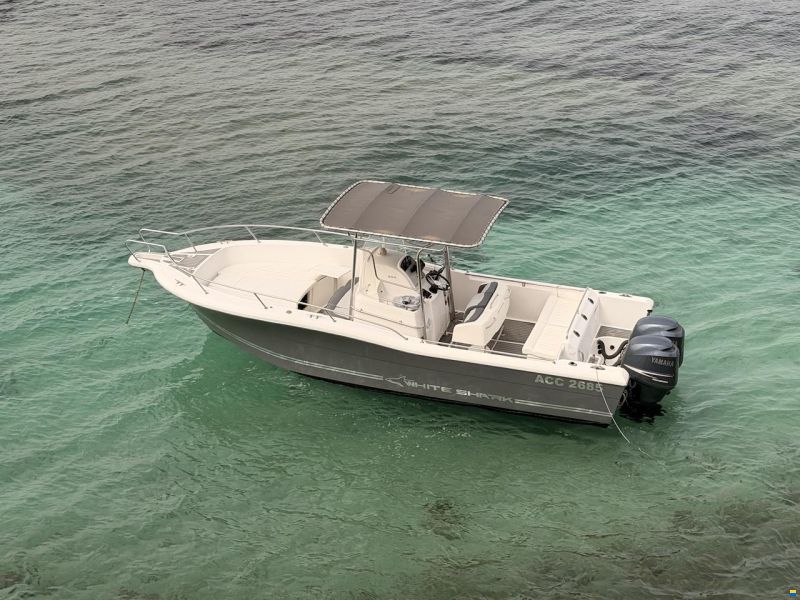 White Shark 265