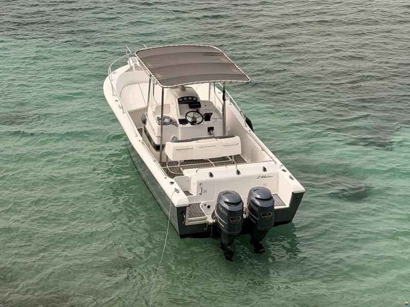 White Shark 265