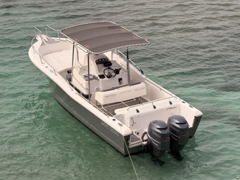 White Shark 265