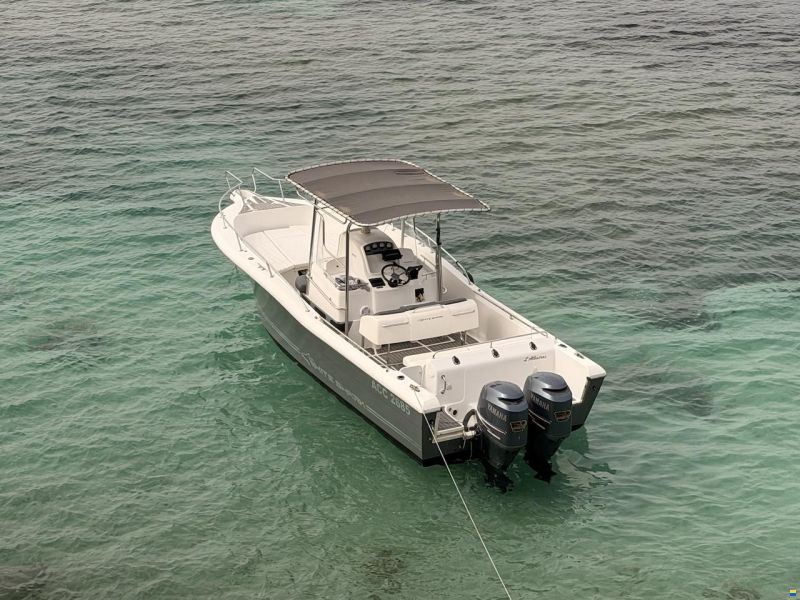 White Shark 265