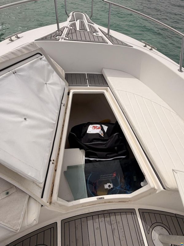 White Shark 265