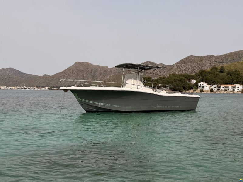 White Shark 265