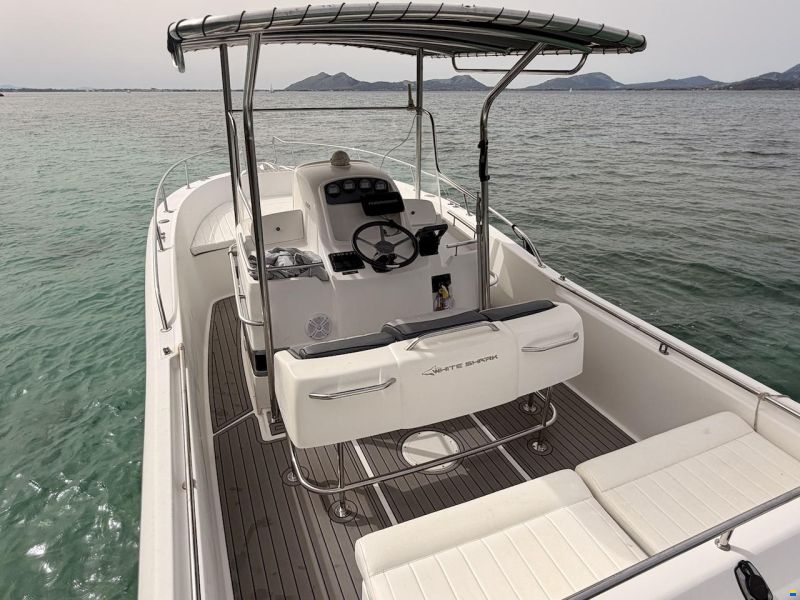 White Shark 265