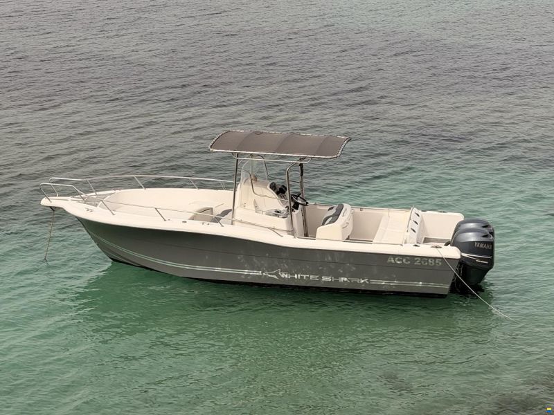 White Shark 265