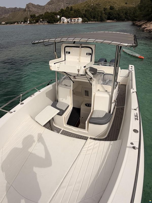 White Shark 265