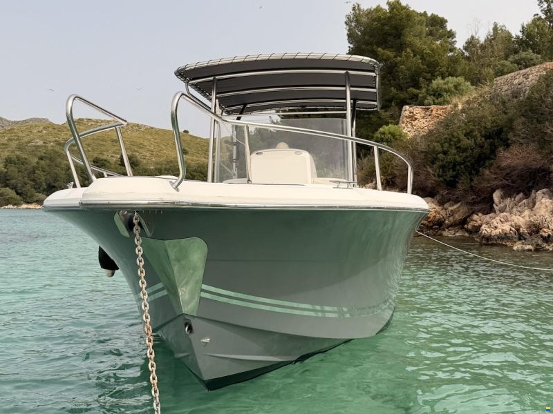 White Shark 265