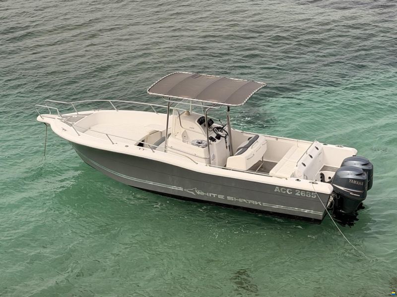 White Shark 265