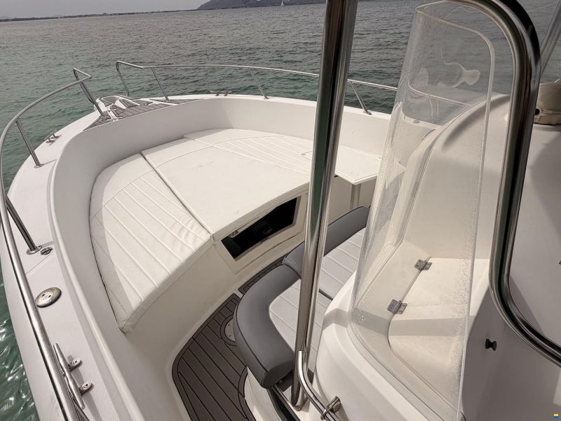 White Shark 265
