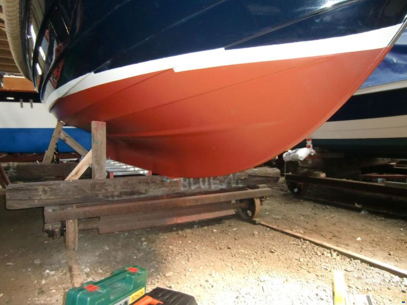 Maril 625