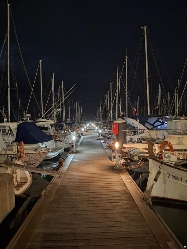 Bayliner 285