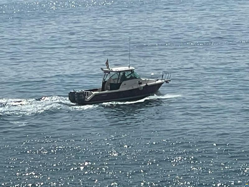 Pursuit OS 285 OFFSHORE