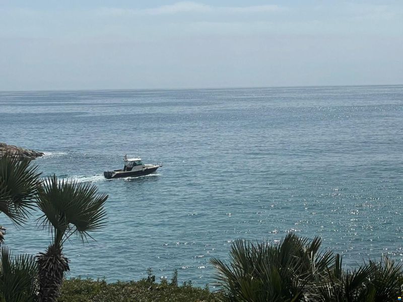 Pursuit OS 285 OFFSHORE