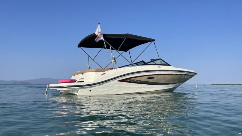 Sea Ray SPX19