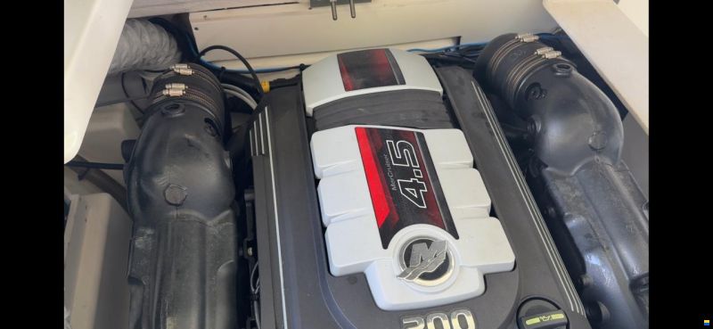 Sea Ray SPX19