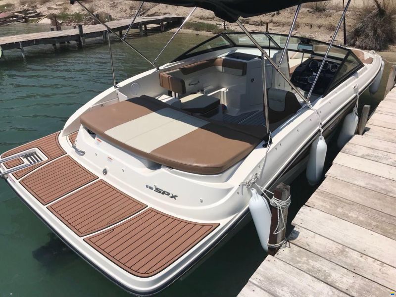 Sea Ray SPX19