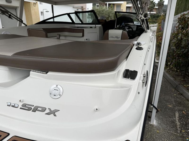 Sea Ray SPX19
