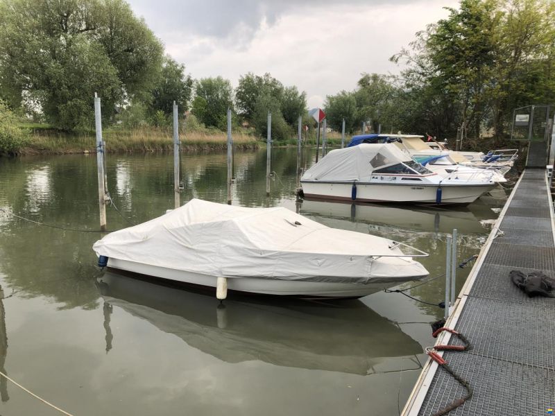 Wellcraft Exel 19 SL