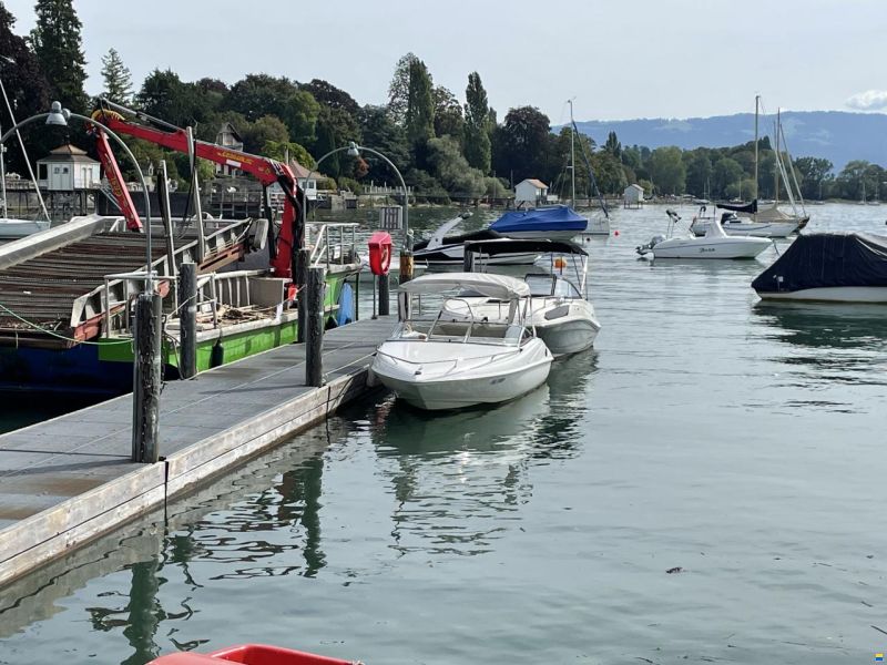 Wellcraft Exel 19 SL