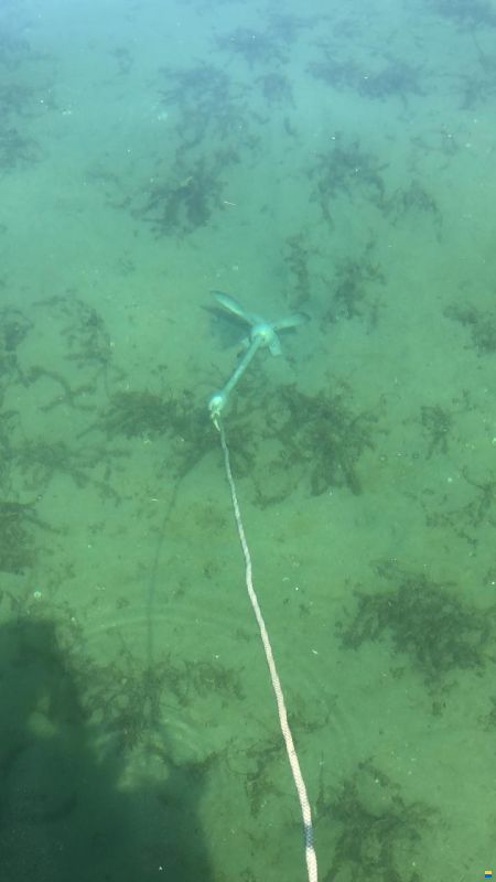 Wellcraft Exel 19 SL