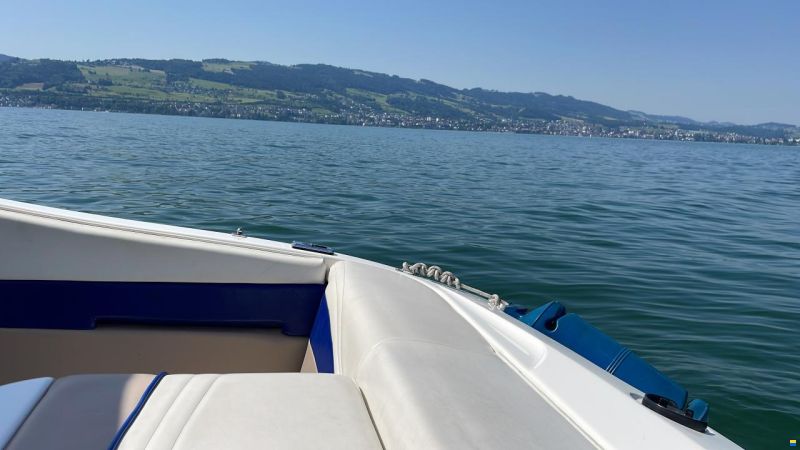 Wellcraft Exel 19 SL