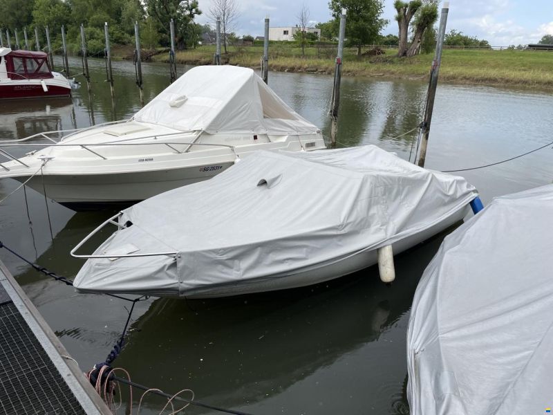 Wellcraft Exel 19 SL