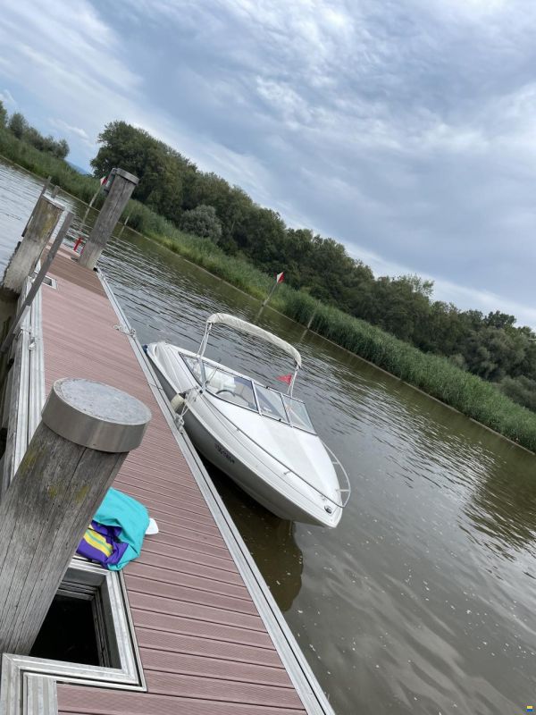 Wellcraft Exel 19 SL