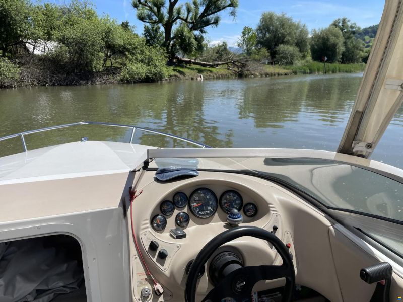 Wellcraft Exel 19 SL