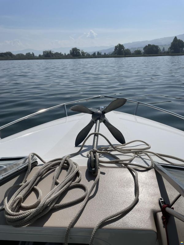 Wellcraft Exel 19 SL