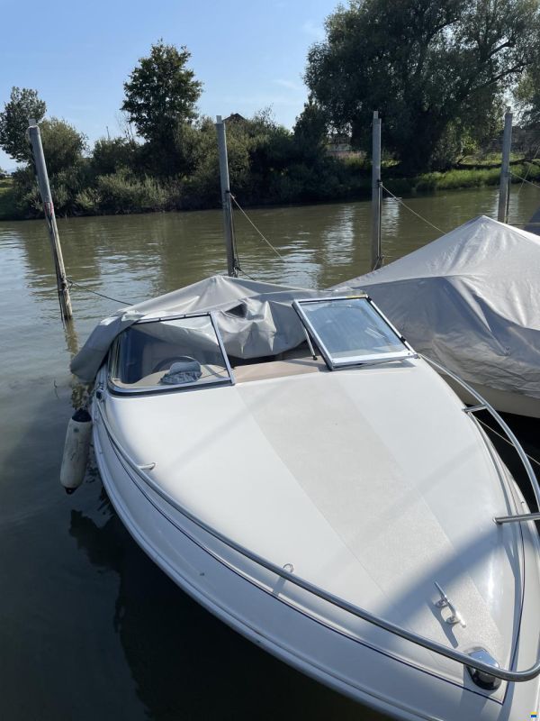 Wellcraft Exel 19 SL