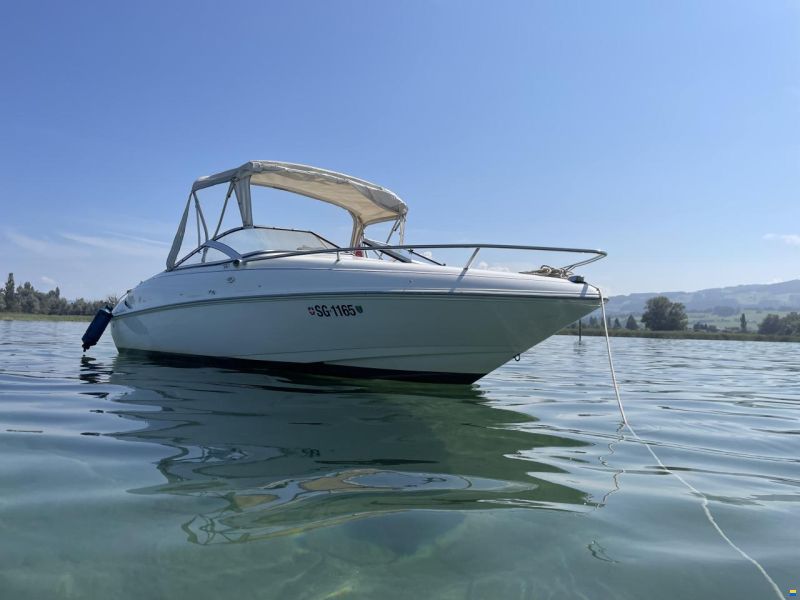 Wellcraft Exel 19 SL