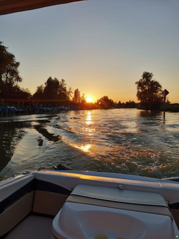 Wellcraft Exel 19 SL