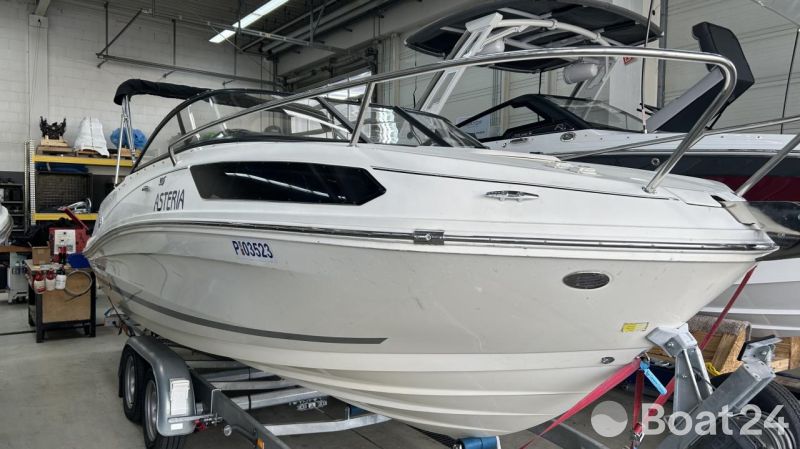 Bayliner VR 5 Cuddy