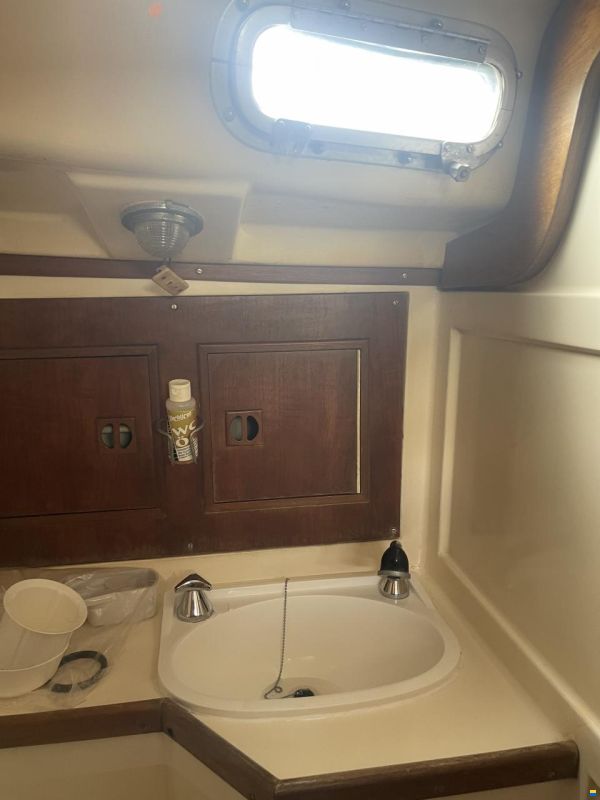 Wauquiez Centurion 32