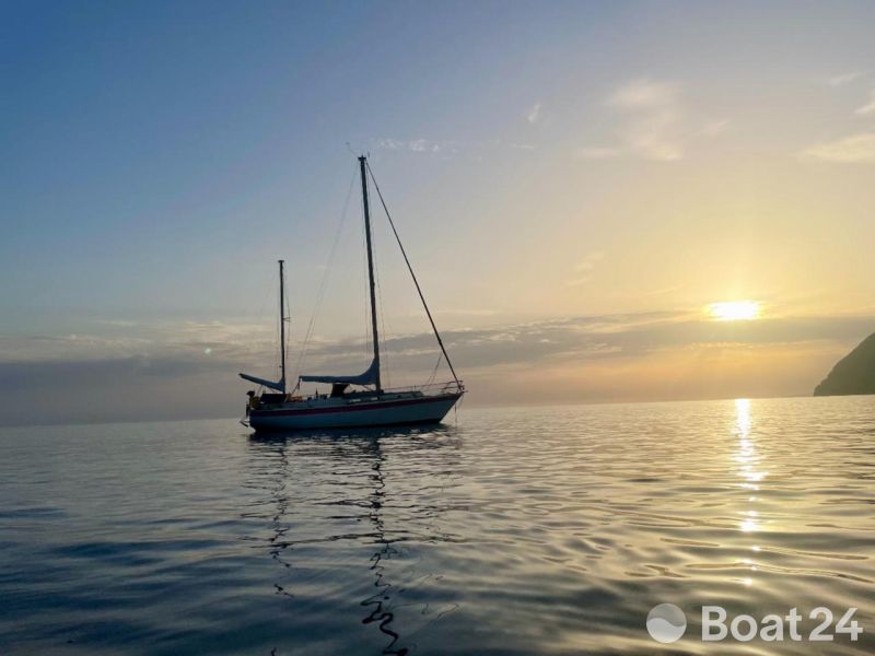 Westerly Conway 36