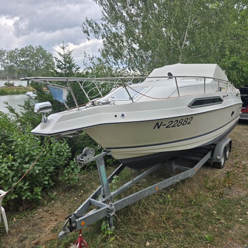 Regal Classic 233