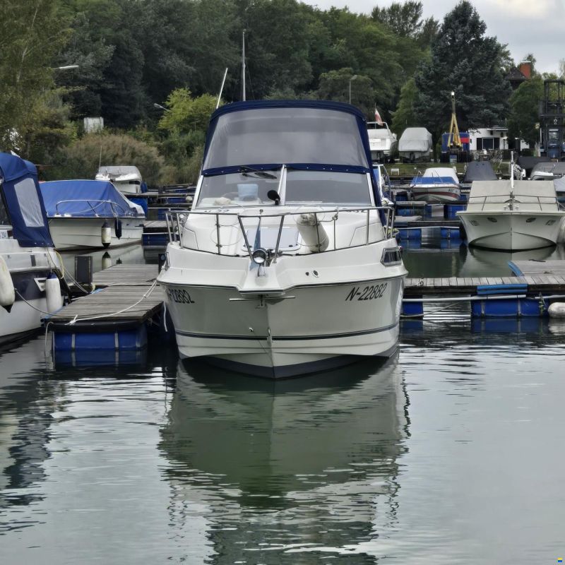 Regal Classic 233