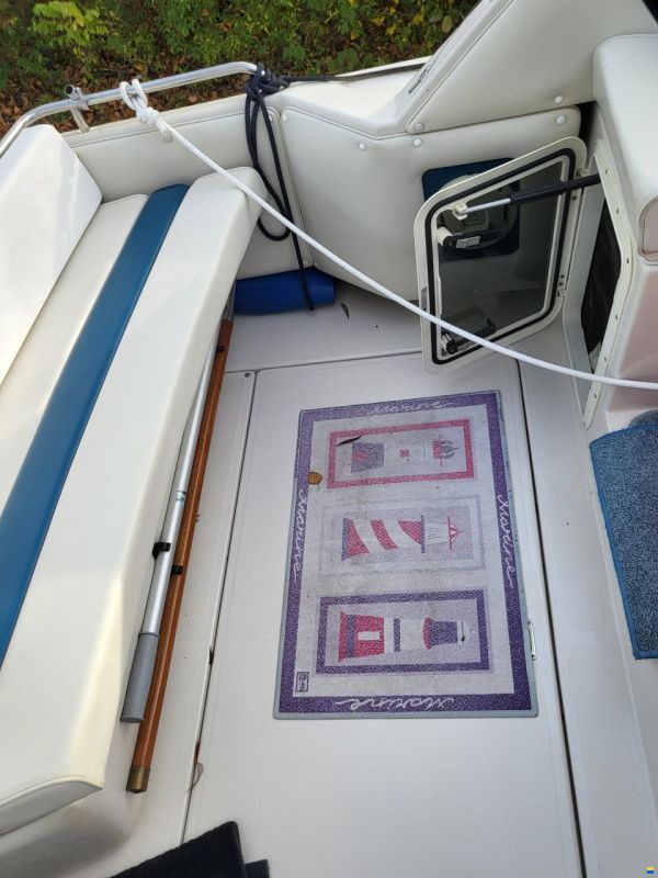 Regal Classic 233