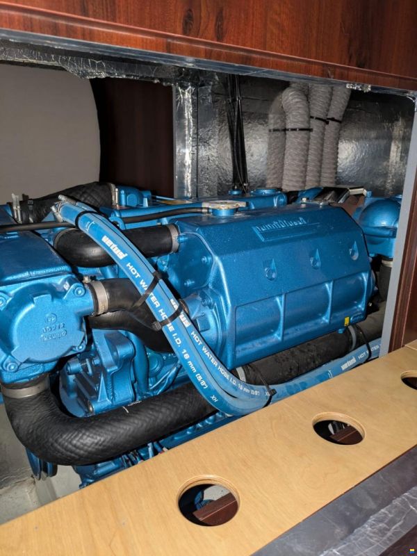 Delphia Platinum 989