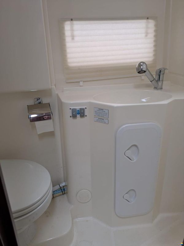 Delphia Platinum 989