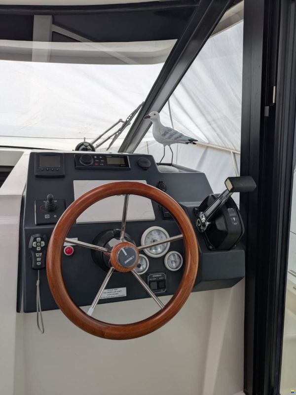 Delphia Platinum 989