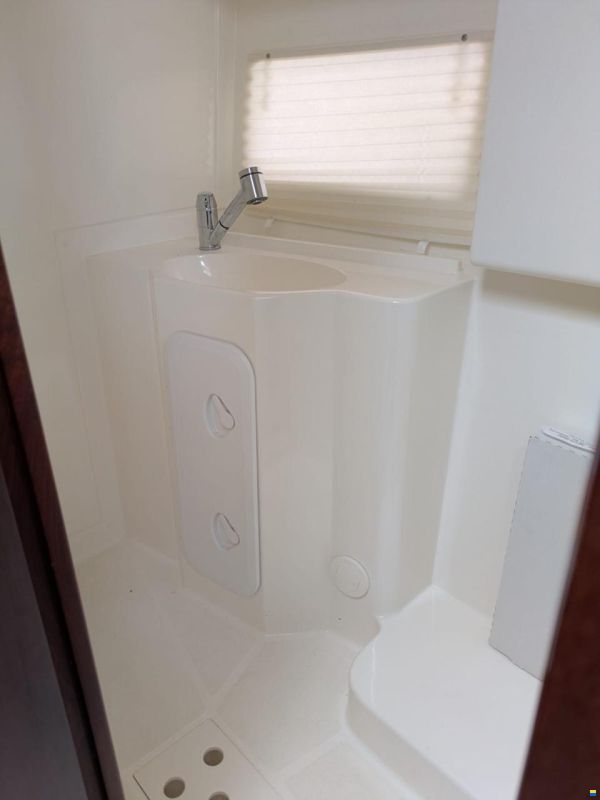 Delphia Platinum 989