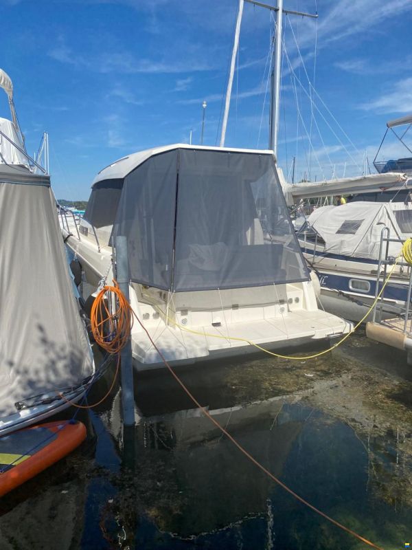 Delphia Platinum 989