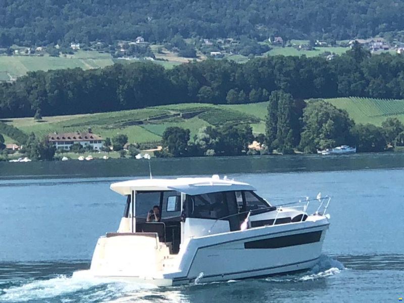 Delphia Platinum 989