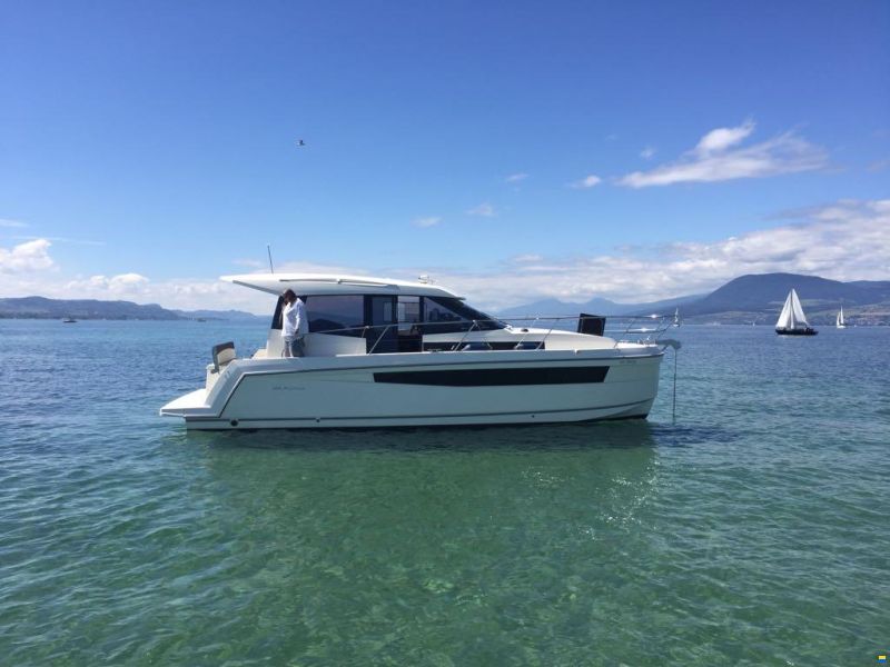 Delphia Platinum 989